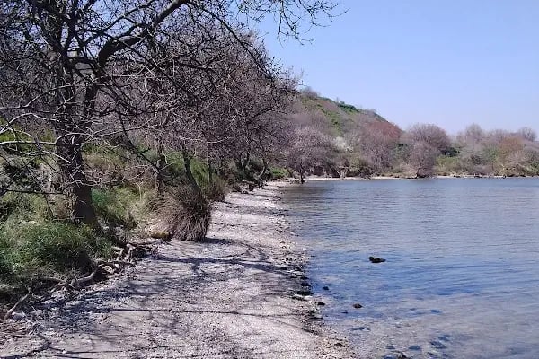 İstanbul Üniversitesi - Cerrahpaşa Mühendislik Fakültesi - Resim 13