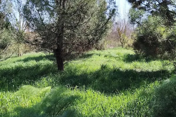 İstanbul Üniversitesi - Cerrahpaşa Mühendislik Fakültesi - Resim 4
