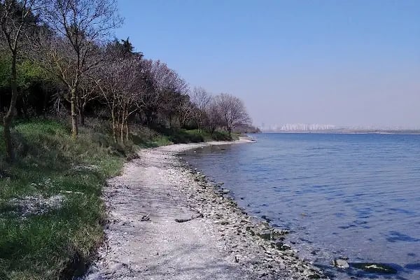 İstanbul Üniversitesi - Cerrahpaşa Mühendislik Fakültesi - Resim 6