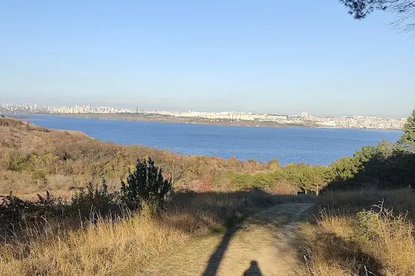 İstanbul Üniversitesi - Cerrahpaşa Mühendislik Fakültesi - Resim 19