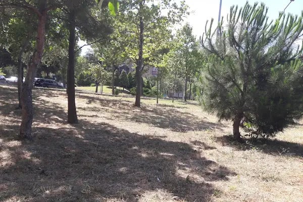 İstanbul Üniversitesi - Cerrahpaşa Mühendislik Fakültesi - Resim 8