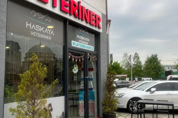 Haskaya Veteriner Muayenehanesi - Resim 12
