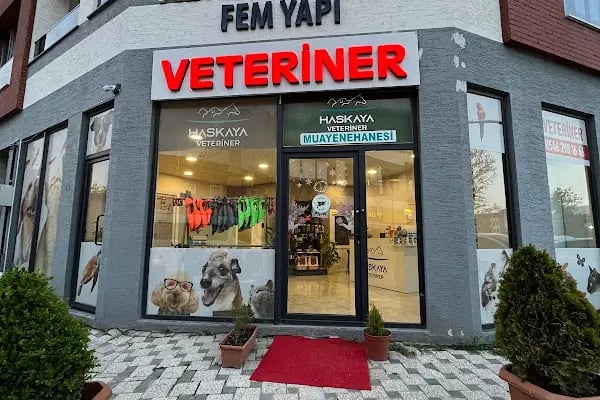 Haskaya Veteriner Muayenehanesi - Resim 14