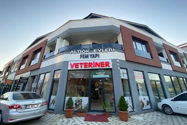 Haskaya Veteriner Muayenehanesi - Resim 2