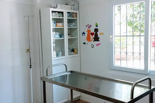Güzelyalı Veteriner Kliniği - Resim 8