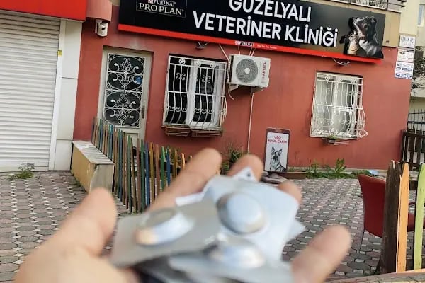 Güzelyalı Veteriner Kliniği - Resim 2