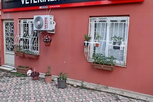 Güzelyalı Veteriner Kliniği - Resim 6