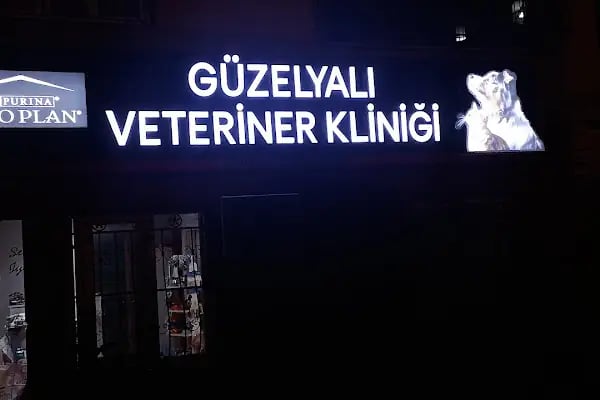 Güzelyalı Veteriner Kliniği - Resim 4