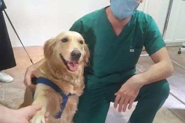 Güzelyalı Veteriner Kliniği - Resim 7