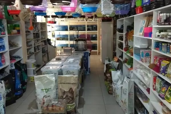 MALTA PETSHOP - Resim 13