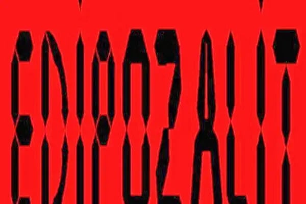 Edip Ozalit Kopyalama Merkezi - Resim 19