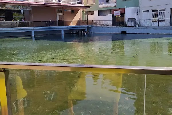 Turgutalp Havuzlu Park - Resim 19