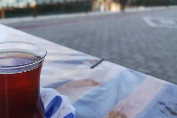 Turgutalp Havuzlu Park - Resim 12