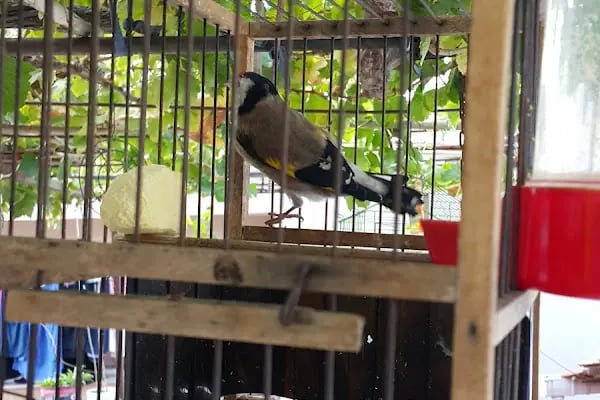 Turgutalp Havuzlu Park - Resim 13