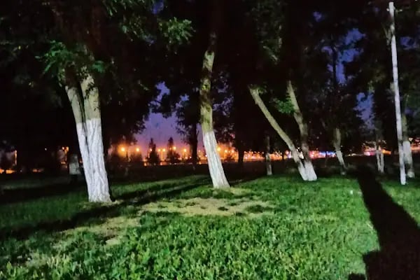 Amed Düğün salonu - Resim 15