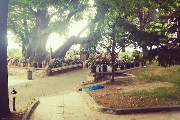 Toki Mehmet Akif Ersoy İlkokulu - Resim 17