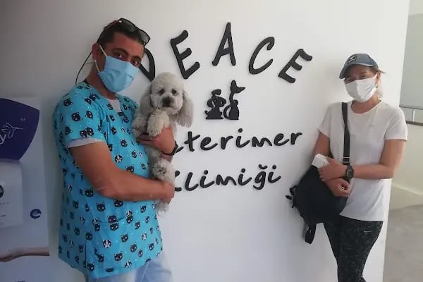 Peace Veteriner Kliniği - Resim 20