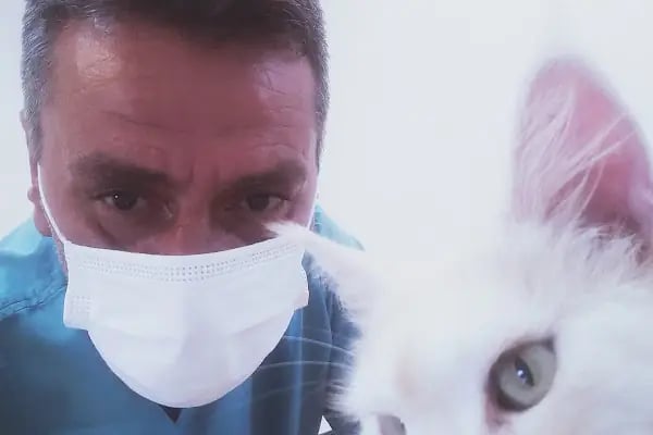Peace Veteriner Kliniği - Resim 17