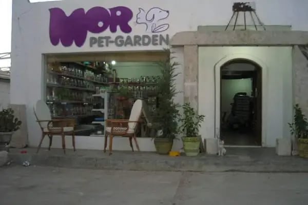 MorPet - Resim 20
