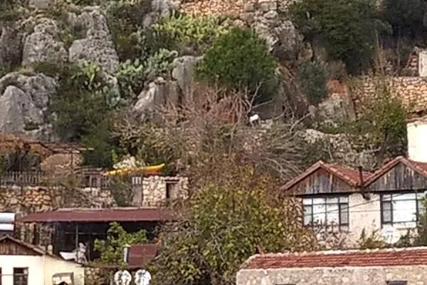 Derin Hotel - Resim 14