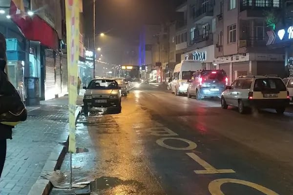 Kafkas Unlu Mamuller - Resim 16