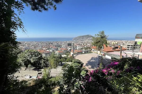 Zencefil cafe restaurant - Resim 5