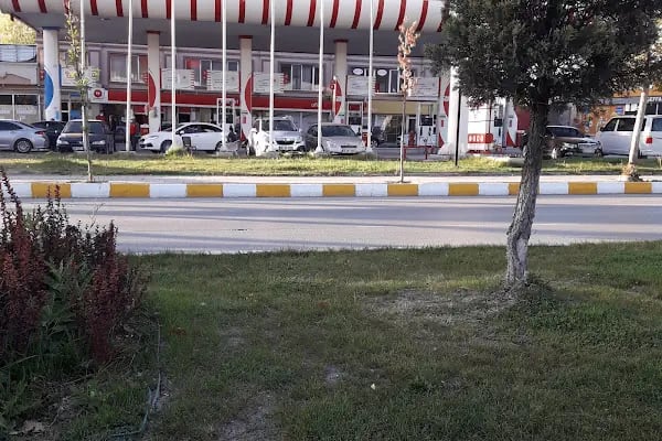 Aras Kargo Van Gölü Şubesi - Resim 7