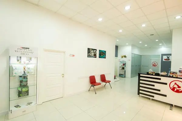 VETERİNERYA - Resim 2