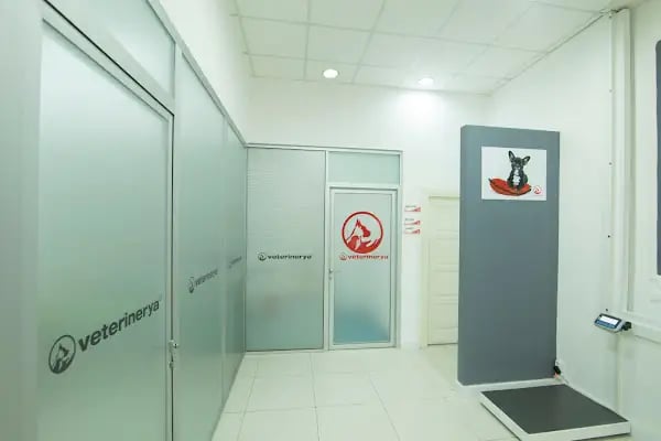 VETERİNERYA - Resim 5