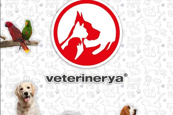 VETERİNERYA - Resim 1