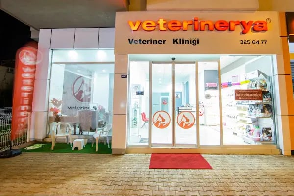 VETERİNERYA - Resim 3