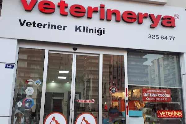 VETERİNERYA - Resim 6