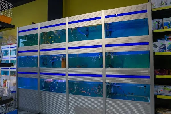 Doğa Petshop Erenler - Resim 8