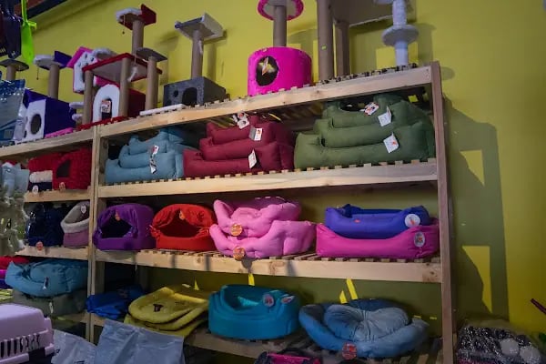 Doğa Petshop Erenler - Resim 9