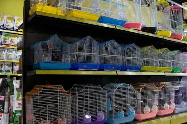 Doğa Petshop Erenler - Resim 2