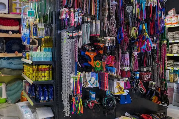 Doğa Petshop Erenler - Resim 10
