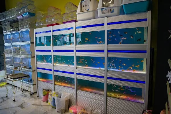 Doğa Petshop Erenler - Resim 5