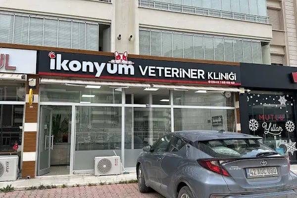 İKONYUM VETERİNER KLİNİĞİ | KONYA VETERİNER-MERAM VETERİNER-SELÇUKLU VETERİNER-KARATAY | ACİL-7/24 NÖBETÇİ VETERİNER KLİNİĞİ - Resim 2