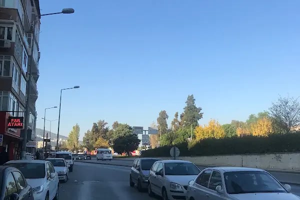 Servet Ulucan - Resim 3