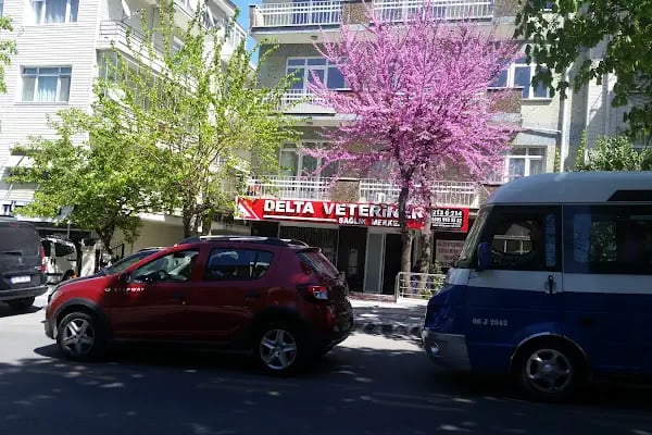 Delta Veteriner Sağlık Merkezi - Resim 19