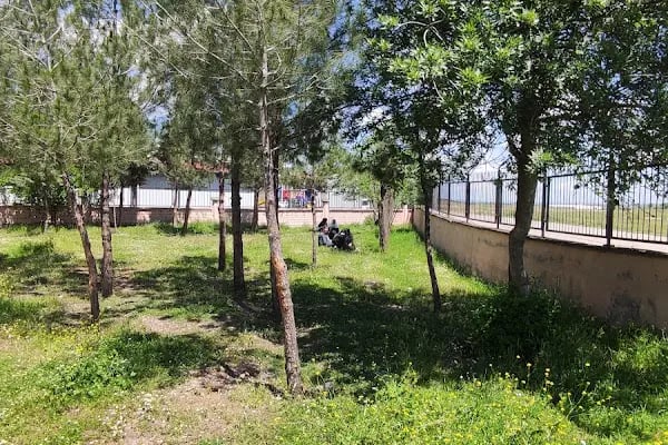 Tepe Çok Programlı Anadolu Lisesi - Resim 13