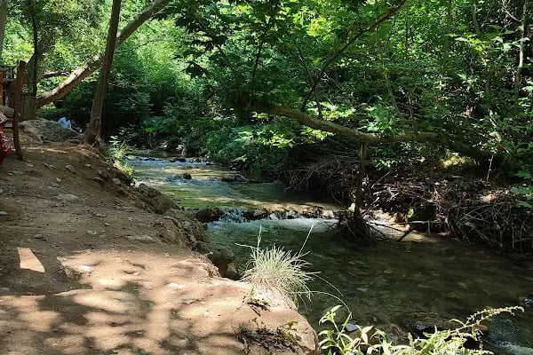 Kirazlı Konak Restaurant&amp;Cafe - Resim 8