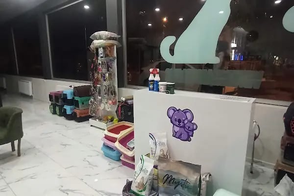 Feza Veteriner Kliniği - Resim 4