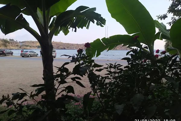 Soğuksu Çelebi Restaurant - Resim 14