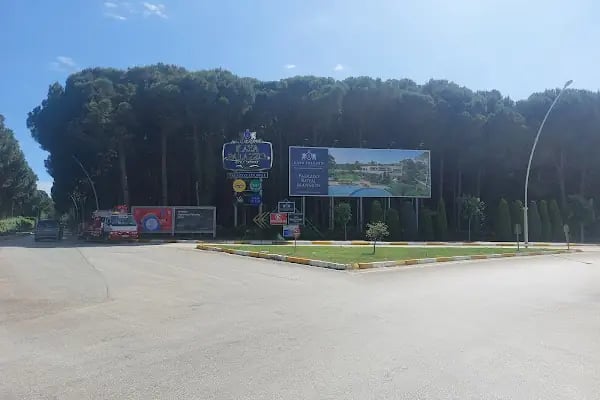 Organize Yılmaz Platform Ve Sepetli Vinç - Resim 15