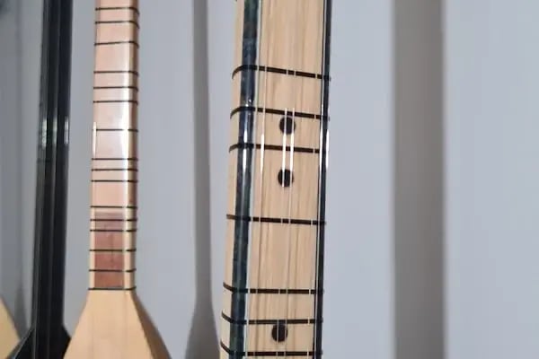Yağmurcan sazevi - Resim 7