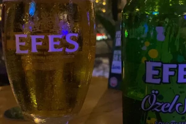 Public Pub - Resim 5