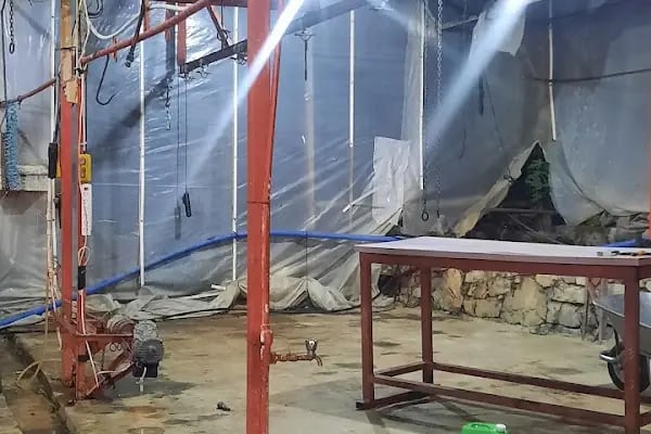 Anamur kurban pazarı Abışoğulları - Resim 8