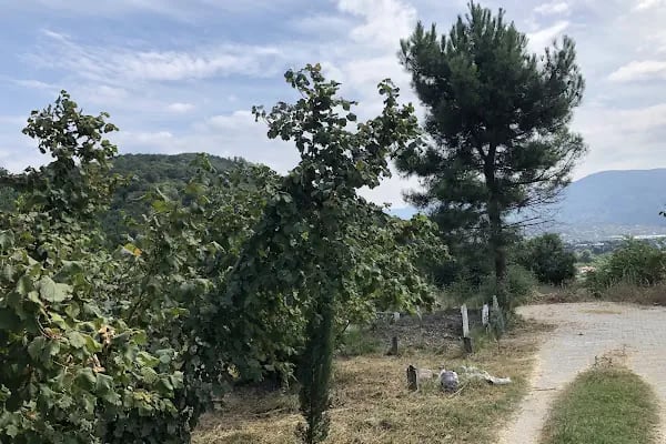 Alaağaç Köy Mezarlığı - Resim 5