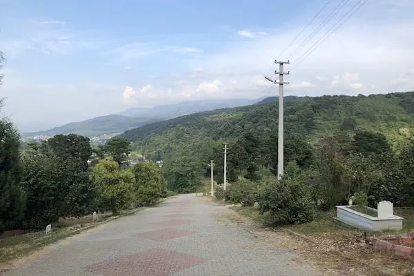 Alaağaç Köy Mezarlığı - Resim 14